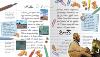 My Little Portfolio <img src=br_.html Monet